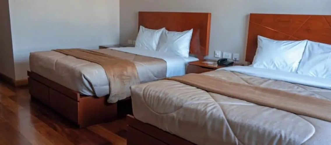 Standard Twin room with park view