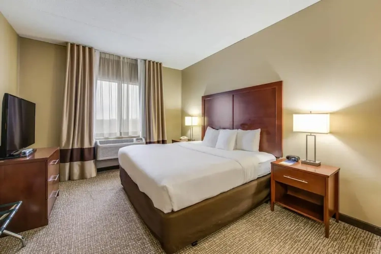 Executive Double Suite