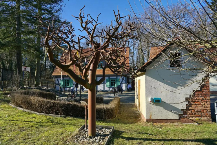 Apartment 5