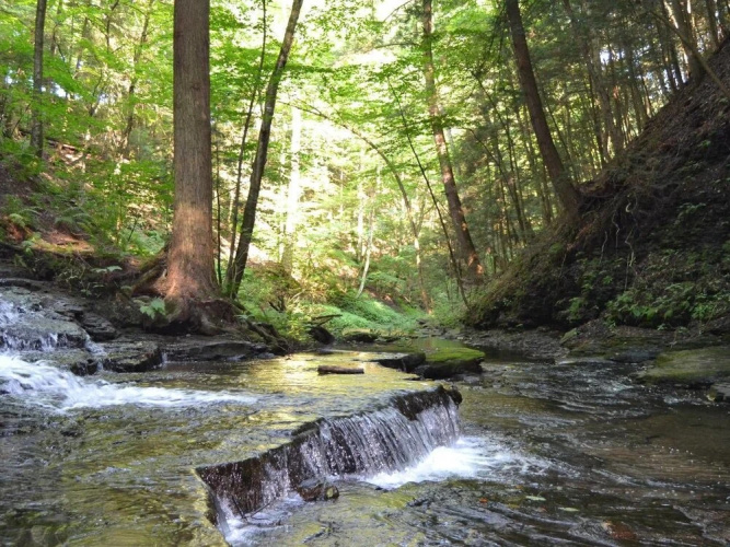 Tentrr - Hemlock Gorge Hideaway