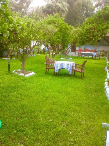 Outside