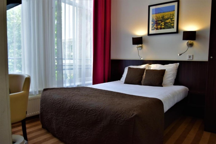 Standard Double room with garden view