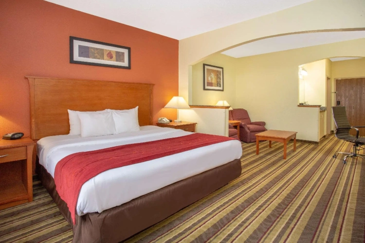 Standard Double room