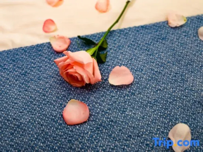 Floral&nbsp;Hotel·An instant hotel