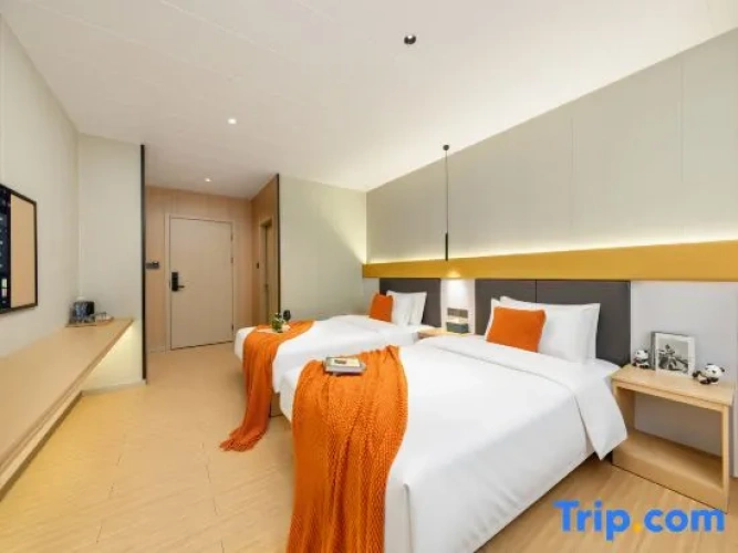 Standard Twin Attic room