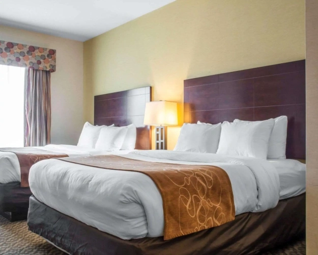 Quadruple Suite