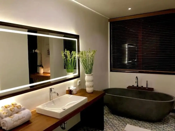 1 Bedroom Junior Suite