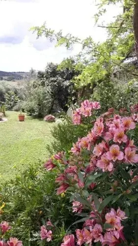 Agriturismo le colline di Capalbio