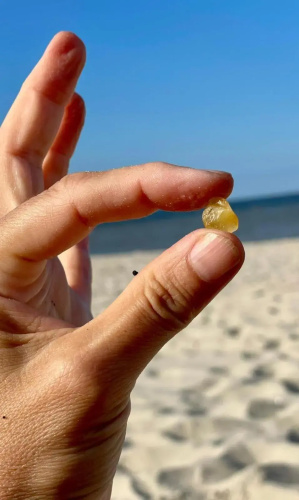 Strandkojen