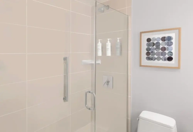 Mobility / Hearing Accessible Roll-In Shower Double room