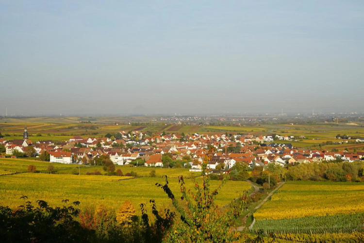 Ferienwohnung Knittel