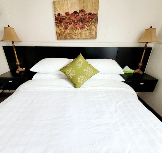 Deluxe Double Suite