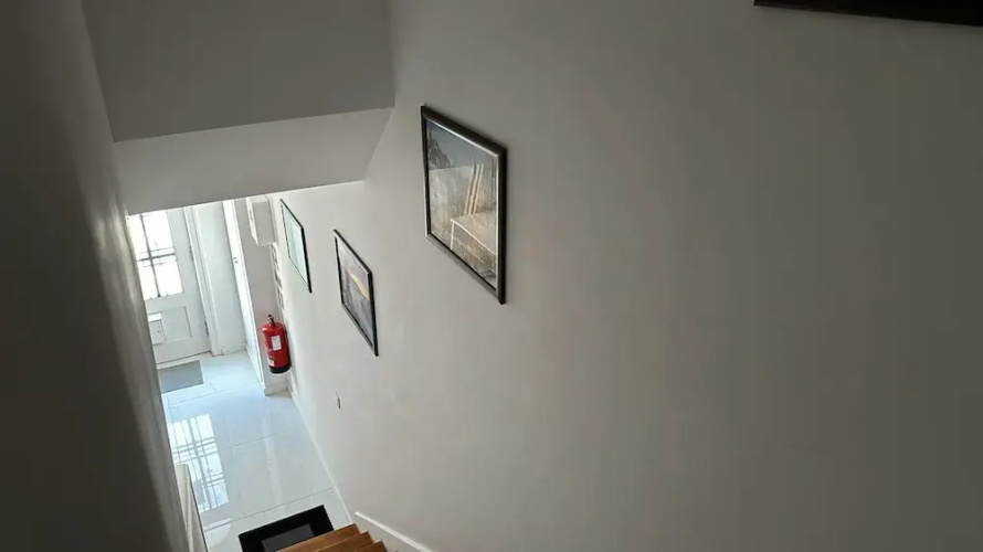 Owls Hostel Ribeiro