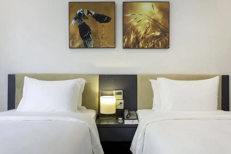 Deluxe Twin room with city view