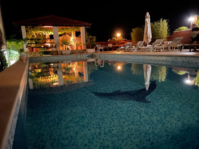Studio apartment Gorana