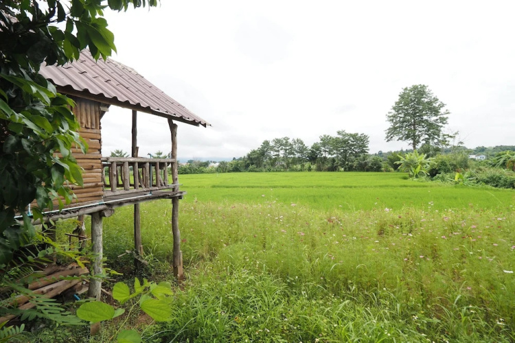 Ton Lang Homestay