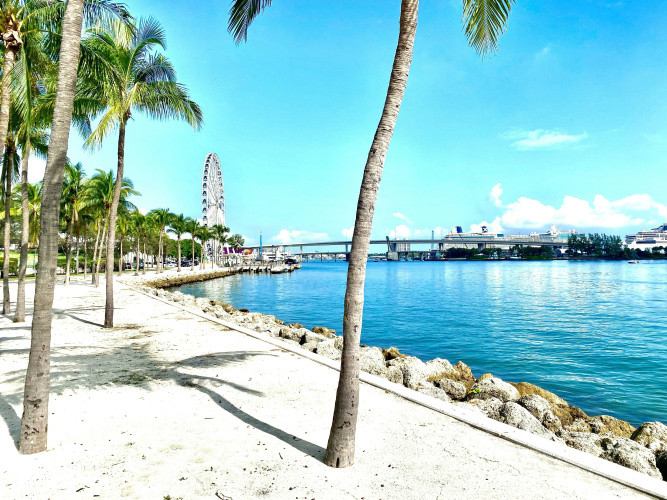 Hotel Indigo Miami Brickell photo 22