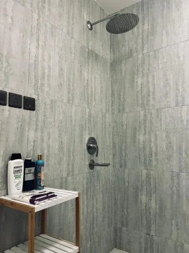 Apartment 102