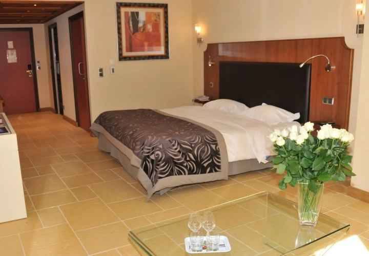 Hotel Les Saules Parc  Spa