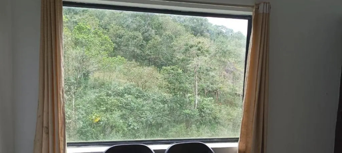 Mist WOODS VAGAMON