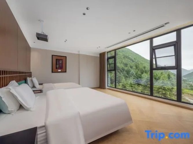 Standard Twin Family room