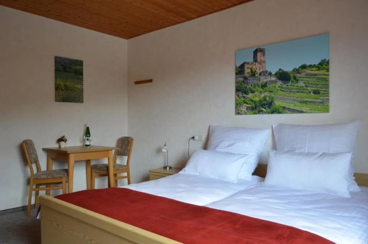 Standard Double room with mountain view