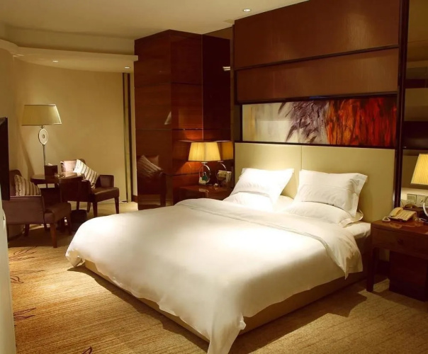 Wuhu Starlight Puli Hotel