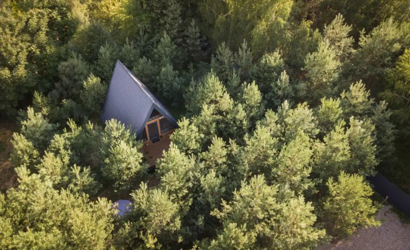 Фотография номера Коттеджа Кусочек рая в соснах