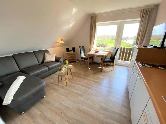 1 Bedroom Standard Apartment