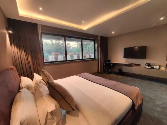 Deluxe Basement room