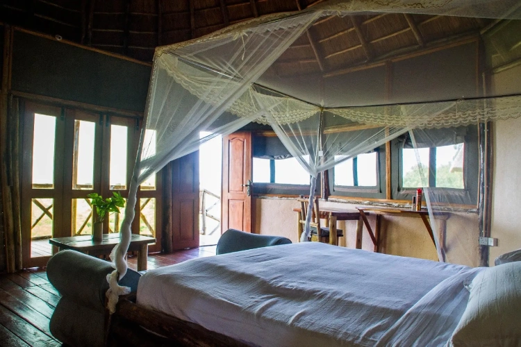 Standard Double room with park view