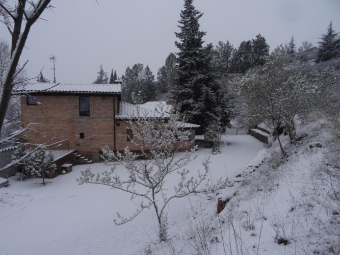 1 Bedroom Cottage