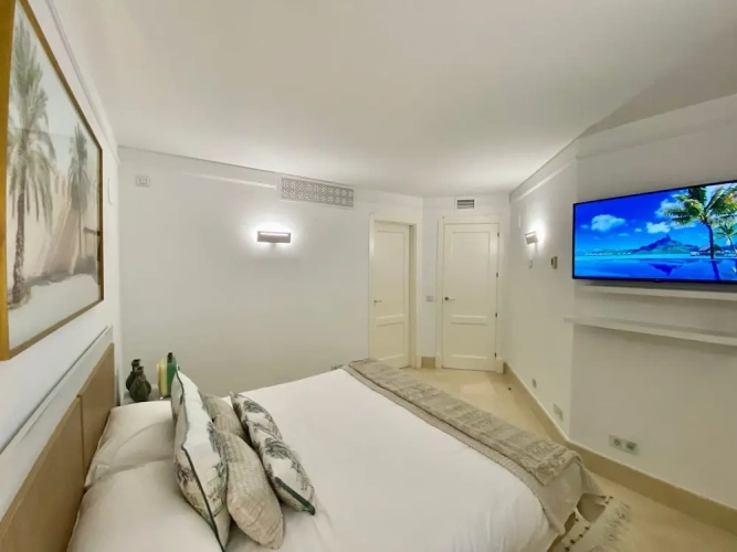 Luxury Apartment