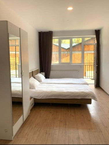Cozy Bakuriani tribu 111