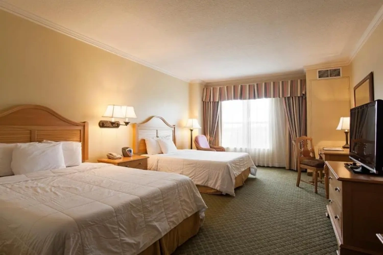 Twin room