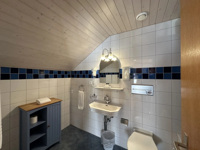 Hotel Chalet Swiss