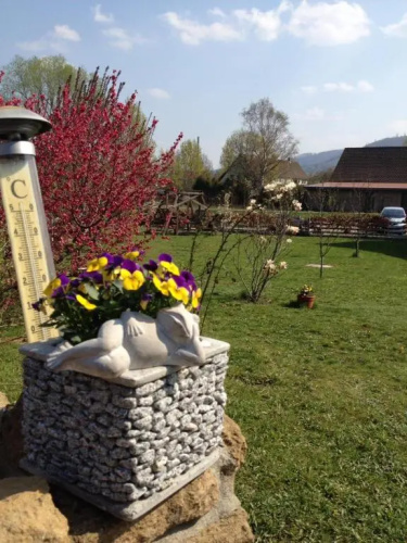 Ferienhaus Sonnenschein