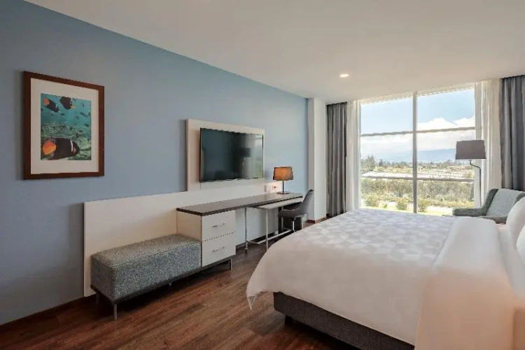 Executive Double room