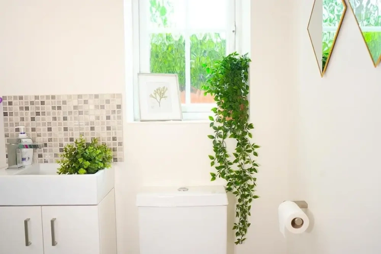 3 Bedrooms Cottage