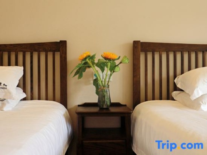 Standard Twin room with garden view