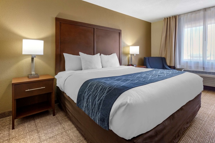Standard Double room
