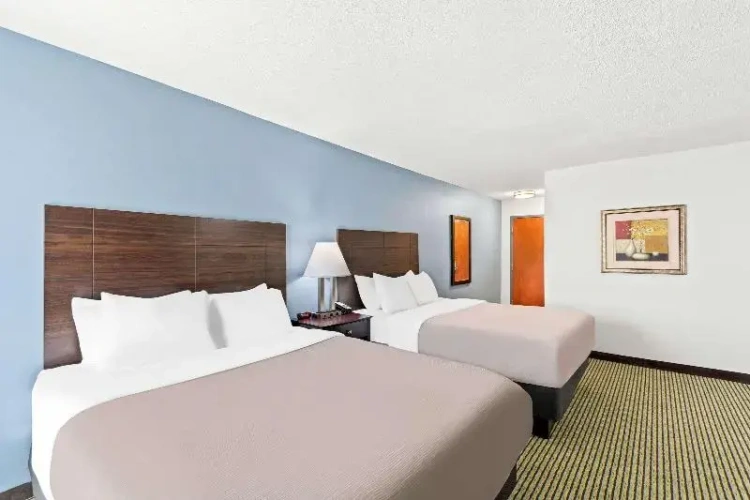 Twin Suite