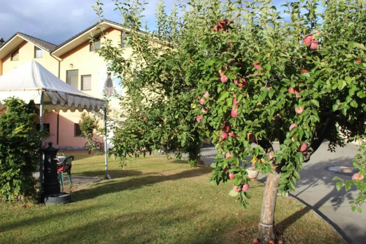APPARTAMENTO u 2 PIANO TERRA