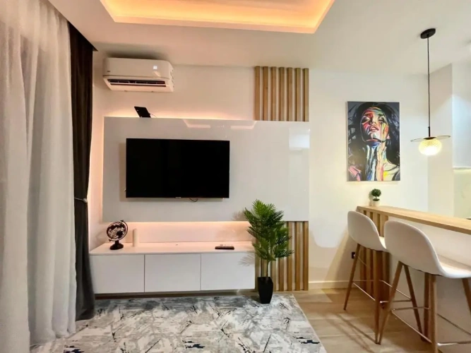 1 Bedroom Apartment