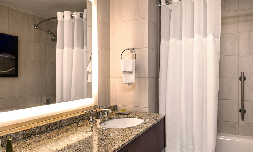 Hilton Anatole photo 10