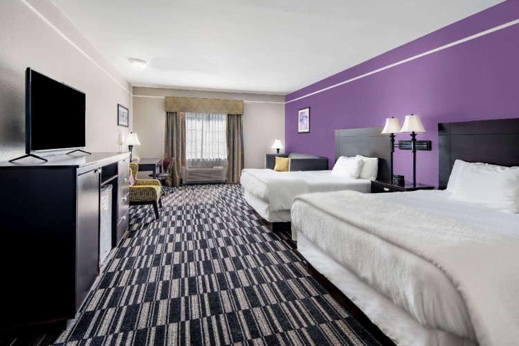 1 Bedroom Quadruple Suite