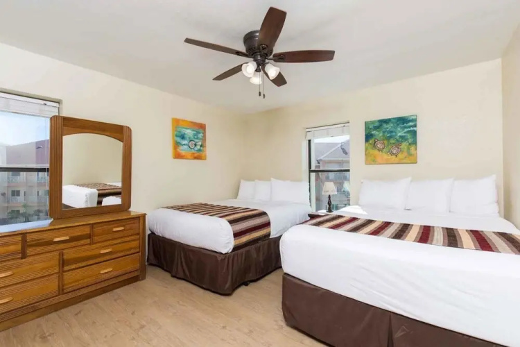 Saida IV Condominium 501