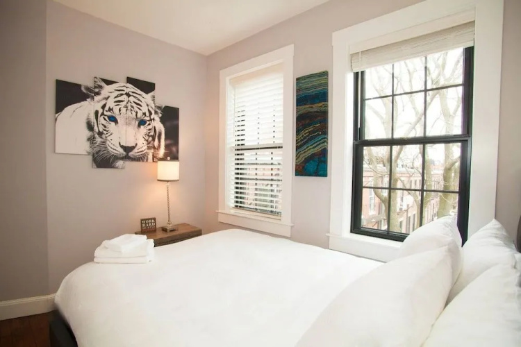 Luxury Back Bay Downtown Boston NEW Condo