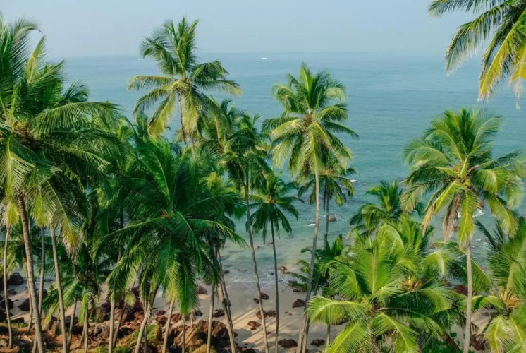Sami Beach Huts