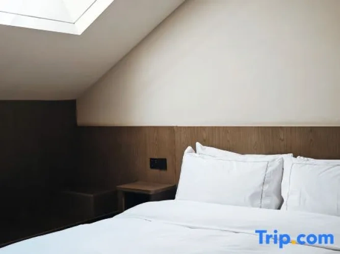 Double Apartment